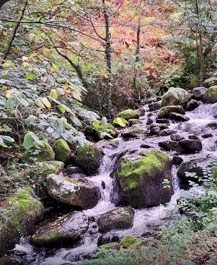 Woodbriar Bed & Breakfast Penmaen-mawr Dış mekan fotoğraf