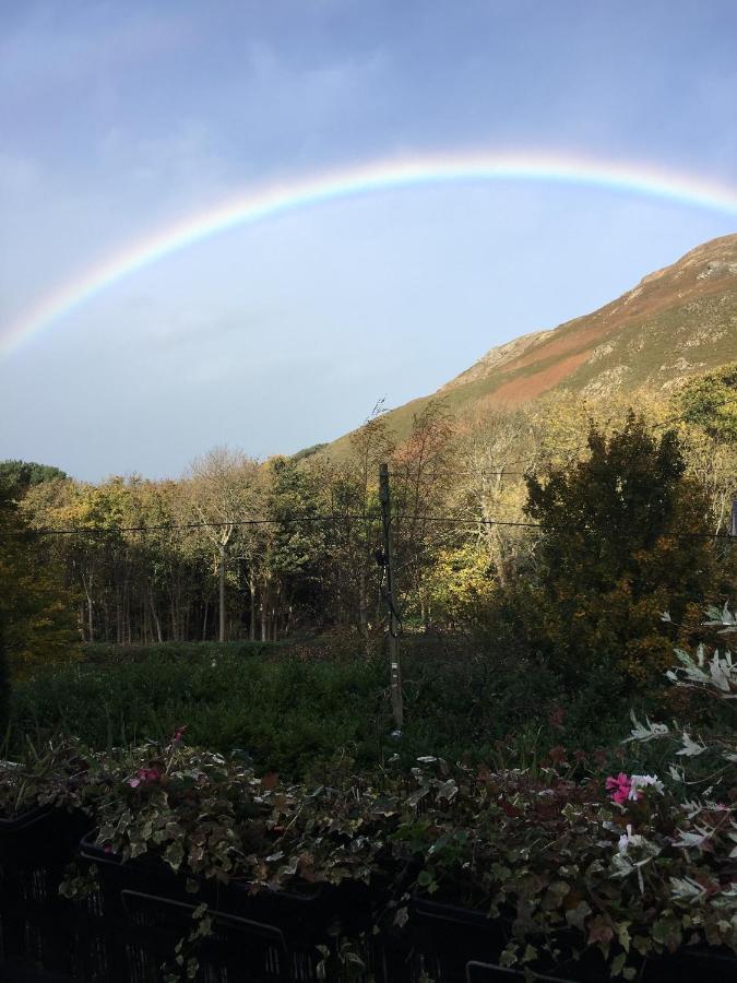 Woodbriar Bed & Breakfast Penmaen-mawr Dış mekan fotoğraf